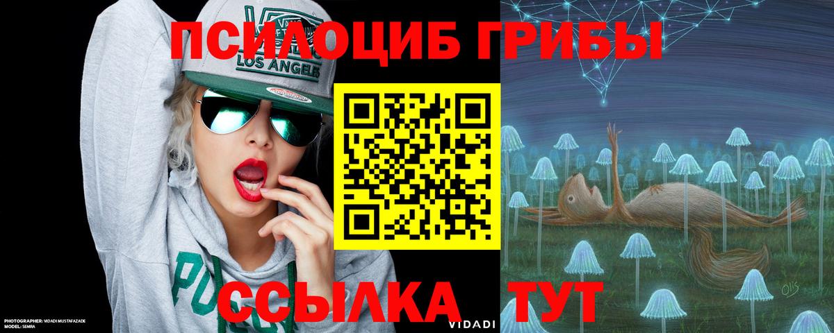 купить наркоту  Галлюциногенные грибы Psilocybine cubensis  Вход с VPN  Кемерово 