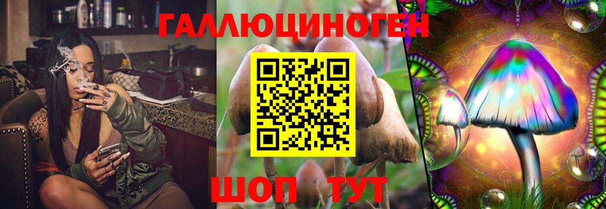Псилоцибиновые грибы GOLDEN TEACHER Кемерово