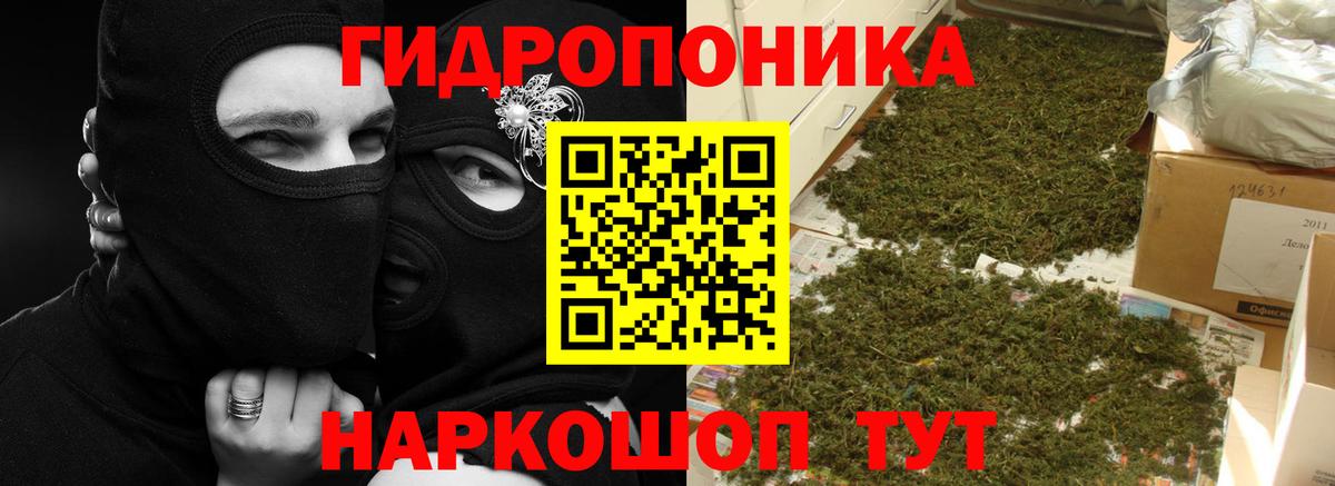 Кемерово  Бошки Шишки планчик  Бошки Шишки LSD WEED  Канабис OG Kush  Вход с VPN 